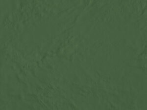 AMB AMAZONIA ACRE BR 55,4X55,4