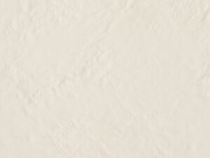 AMB AMAZONIA ALTER BR 55,4X55,4