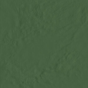 AMB AMAZONIA ACRE BR 34.4X34.4