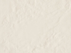 AMB AMAZONIA ALTER BR 34,4X34,4