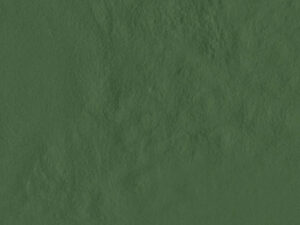 AMB AMAZONIA ACRE BR 21X21