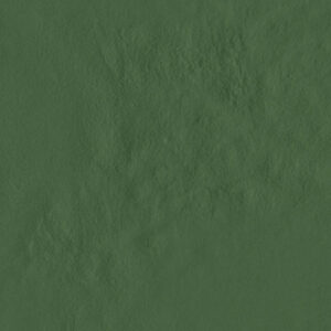 AMB AMAZONIA ACRE BR 21X21