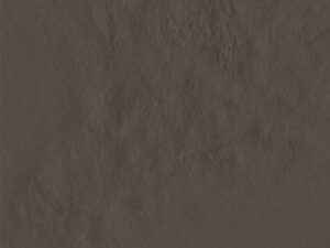 AMB AMAZONIA MAMORI BR 21X21