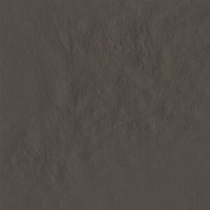AMB AMAZONIA MAMORI BR 21X21
