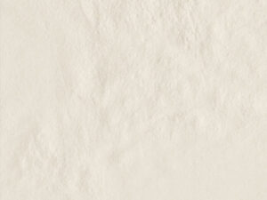 AMB AMAZONIA ALTER BR 21X21