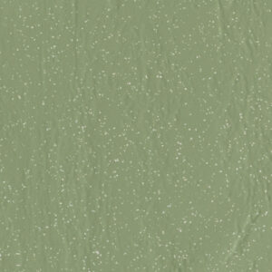 AMB CAATINGA XIQUE XIQUE NAT 21X21