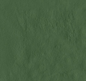 AMB AMAZONIA ACRE BR 13,3X21