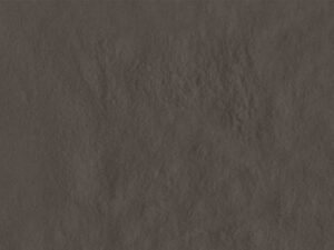 AMB AMAZONIA MAMORI BR 13,3X21