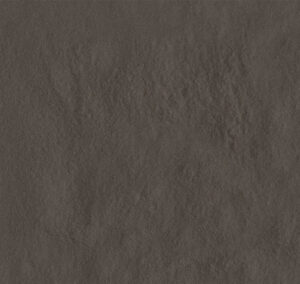 AMB AMAZONIA MAMORI BR 13,3X21