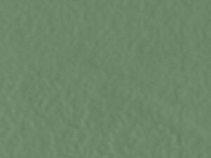 AMB PANTANAL SIMBIO BR 34,4X34,4