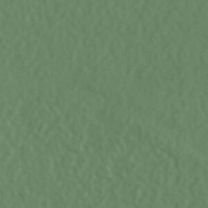 AMB PANTANAL SIMBIO BR 34.4X34.4