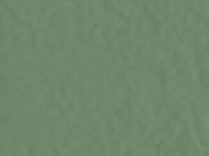 AMB PANTANAL SIMBIO BR 21X21