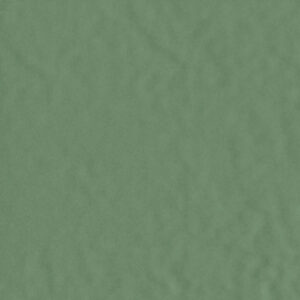 AMB PANTANAL SIMBIO BR 21X21