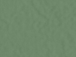 AMB PANTANAL SIMBIO BR 13,3X21