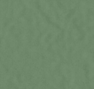 AMB PANTANAL SIMBIO BR 13,3X21