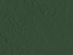 AMB MATA ATLANTICA NHEERY NAT 21X21