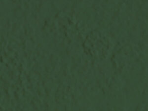AMB MATA ATLANTICA NHEERY NAT 13,3X21
