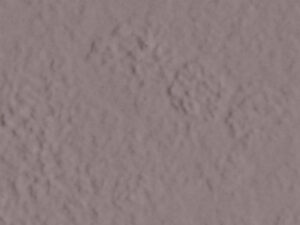 AMB MATA ATLANTICA ARACA NAT 13,3X21