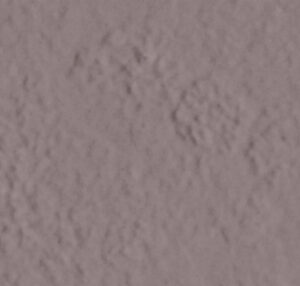 AMB MATA ATLANTICA ARACA NAT 13,3X21