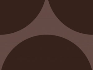 CAROL GAY BOLA CHOCOLATE AC 19X19R