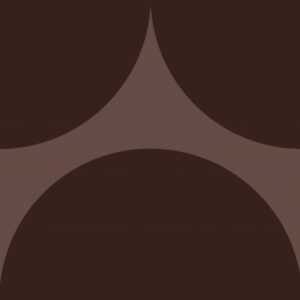 CAROL GAY BOLA CHOCOLATE AC 19X19R