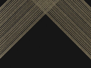 OUTLINE 2 BLACK GOLD AC 29X29