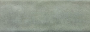 VILLAGE AGAVE BR 10X40