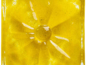 CAROL GAY BOTAO AMARELO 10X10