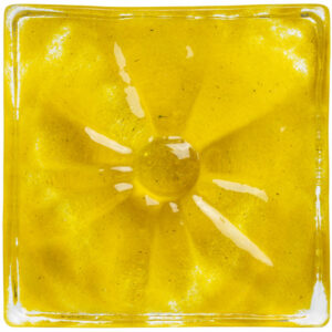 CAROL GAY BOTAO AMARELO 10X10