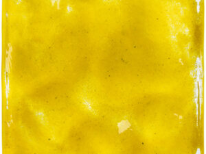 CAROL GAY OCEANO AMARELO 10X10