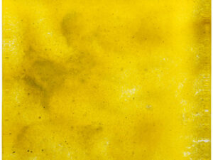 CAROL GAY VITRUM AMARELO 10X10