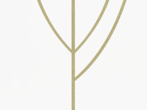 CACTO BRANCO AC 15X15