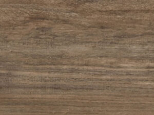 BOSCO AMENDOA EXT 19x90 - BA