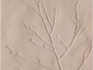 MARSEI BOTANIC MIX DESERT 20X20 P/MI