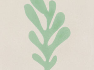 CALU MATISSE FOLHAS COLOR 20X20 P/MI