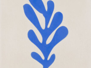CALU MATISSE MIX COLOR 20X20 P/MI