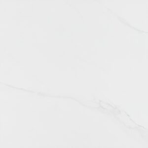 CASSINI GRIS AC 100X100    - SC