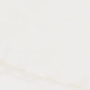 CASSINI BRUT PO 60X120     - SC