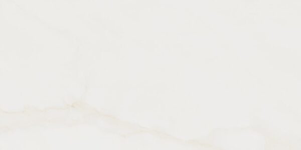 CASSINI BRUT PO 60X120     - SC