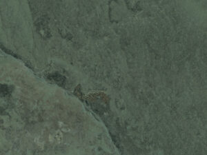 MAGMA FOLHA MA 15X15
