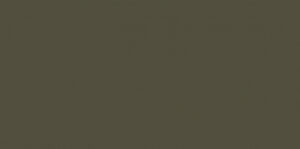 CAROL GAY SELVA AC 30X90R