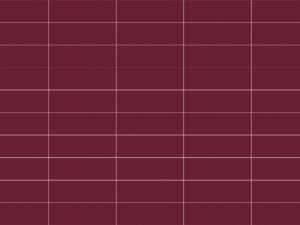LINEAR PURPLE BR 10X30 - SC