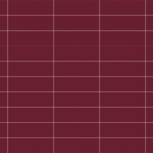 LINEAR PURPLE MA 10X30     - SC