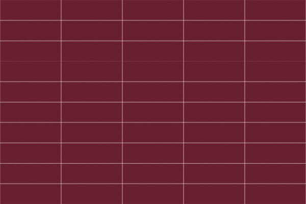 LINEAR PURPLE MA 10X30     - SC