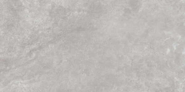 DOLMEN CINZA AC 60x120     - SC