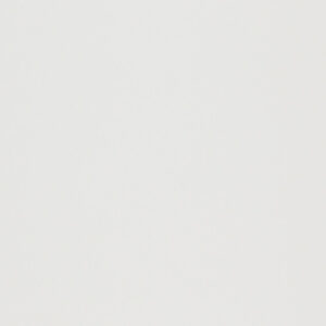 FORMA BRANCO AC 32X60R     - SC