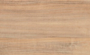 ESSENZA UMBRA PINOLI 17.8X122 - SC