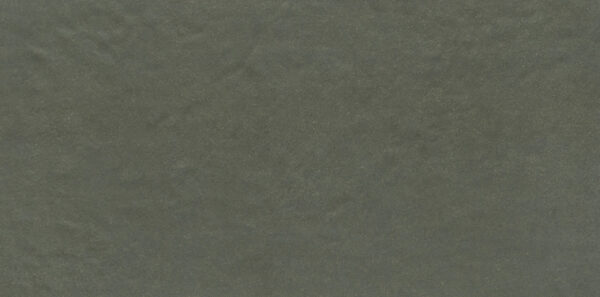 FGMF SILICA AGAVE MA 60X120R   - SC