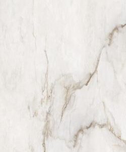 CALACATTA D ORO POLIDO 120 X 240