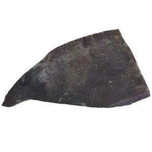 ORBITA CARBONO ORGANICO